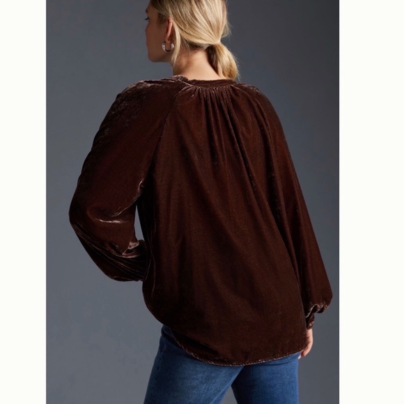 NWT Anthropologie Pilcro Velvet Femme Buttondown Shirt - Picture 3 of 7